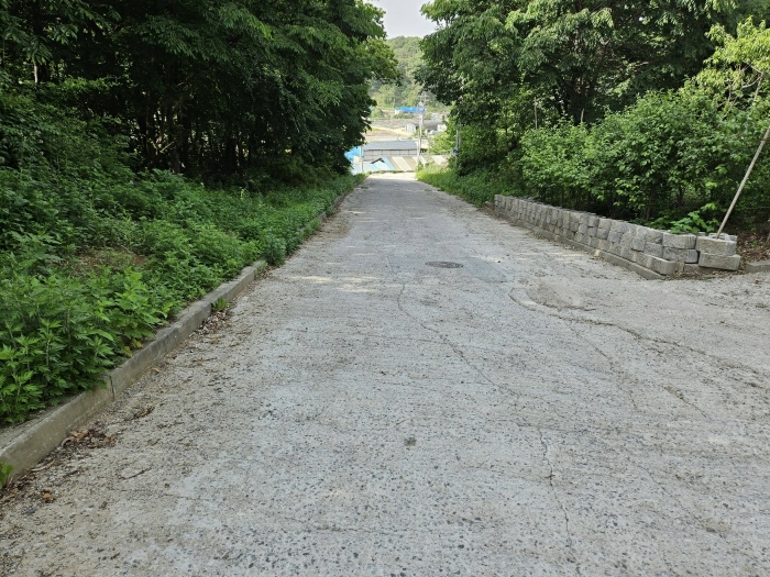 기호 13,14 토지(남측에서 촬영)