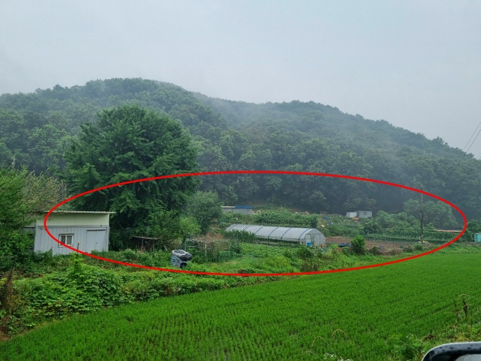 본건 남서측에서 촬영