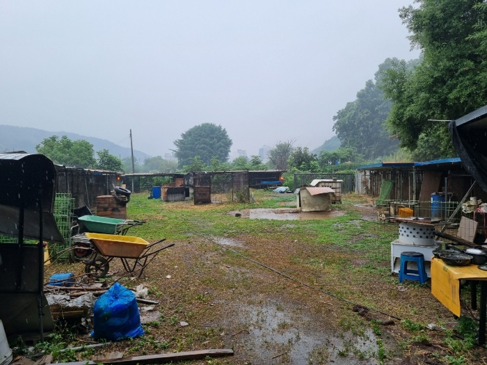 본건 제시외건물 부분