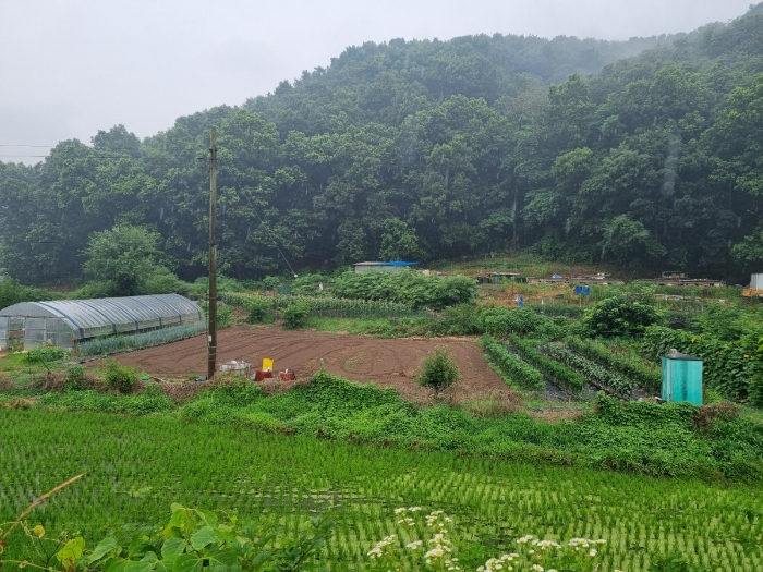 본건 농경지(전) 부분