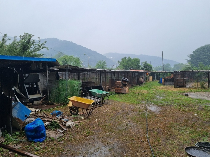 본건 제시외건물 부분