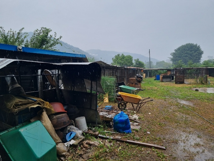 본건 제시외건물 부분