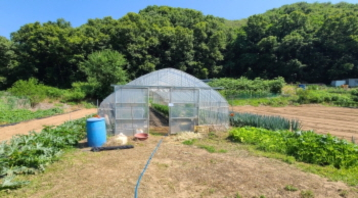 전경6(비닐하우스)