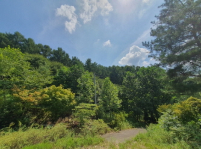 현장사진(목록 5,20번: 영동리 56-1, 산45-8 토지부근)