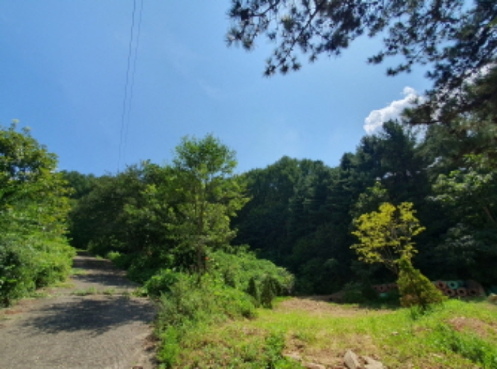 현장사진[목록 19번: 영동리 산45-42 토지 부근)