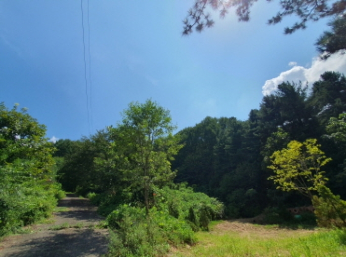 현장사진[목록 19번: 영동리 산45-42 토지 부근)