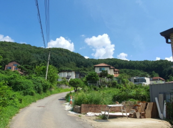 현장사진[본 건 토지 전체 전경)