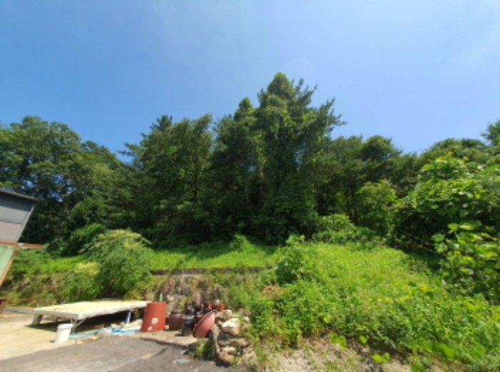 현장사진[목록 21번: 영동리 산45-8 토지 부근)