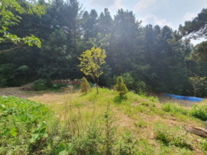 현장사진(목록 4,18,19번: 영동리 56-2, 산45-43, 산45-42 부근)