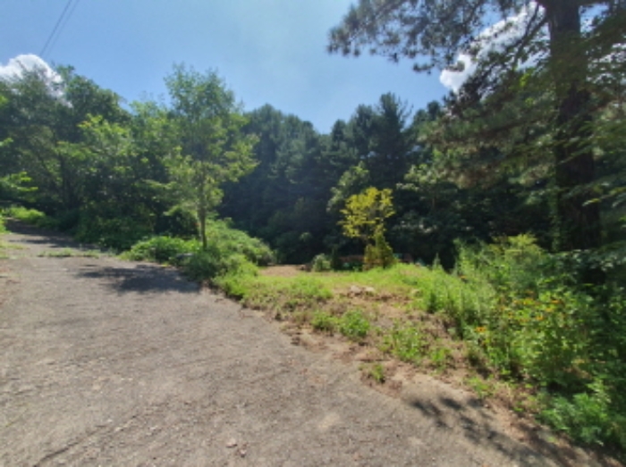 현장사진(목록 4,18,19번: 영동리 56-2, 산45-43, 산45-42 토지부근)