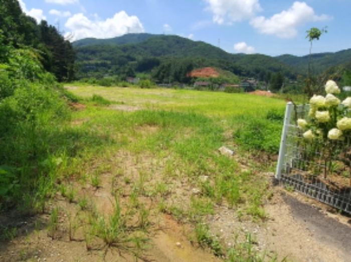 현장사진(목록 10,11번: 영동리 56-46, 56-45 토지 부근)