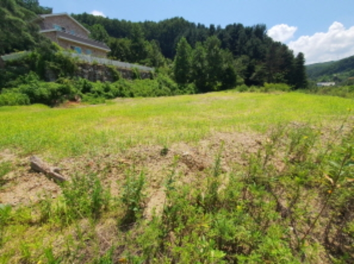 현장사진(목록 10,11번: 영동리 56-46, 56-45 토지 부근)