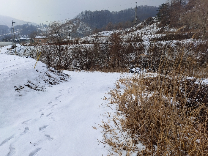 인근 전경(진입로 부분)