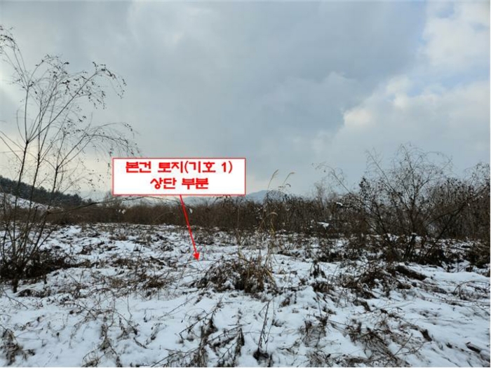 본건 전경(기호 1)
