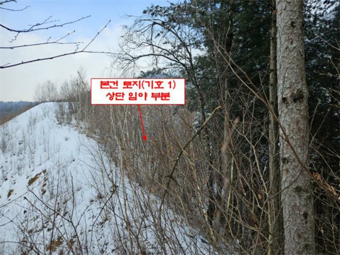 본건 전경(기호 1)