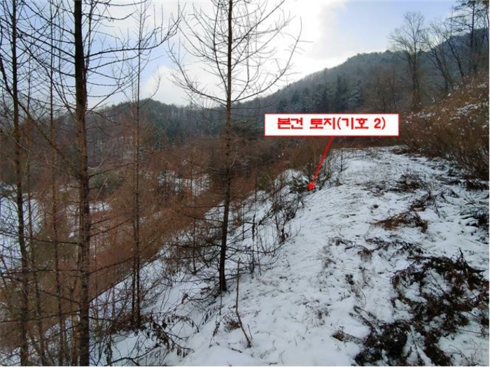 본건 전경(기호 2)