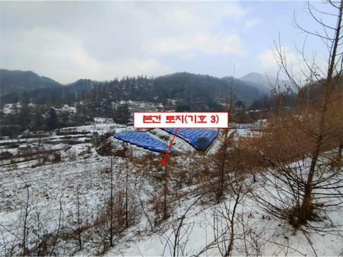 본건 전경(기호 3)