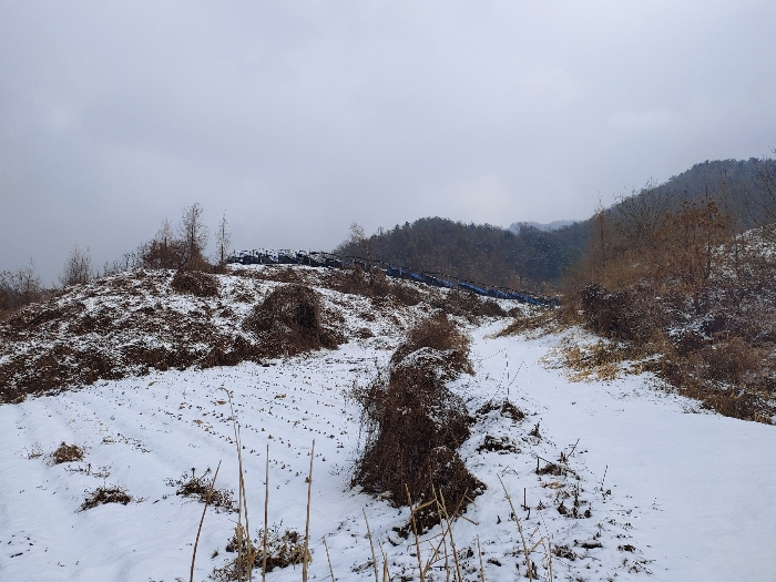 인근 전경(진입로 부분)