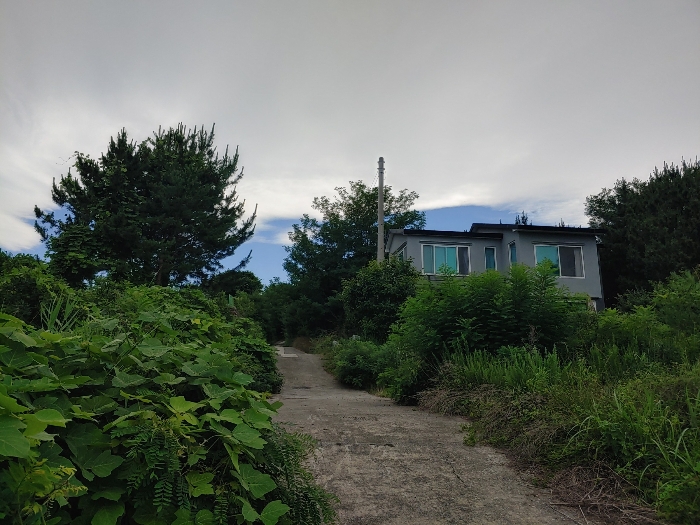 비교표준지A 인근 전경