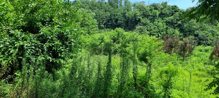 기호(1)토지 전경