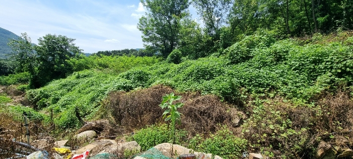 기호(1)토지 전경