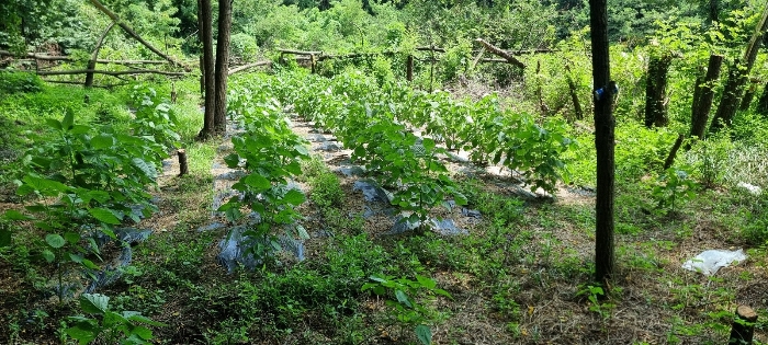 기호(2)토지 전경