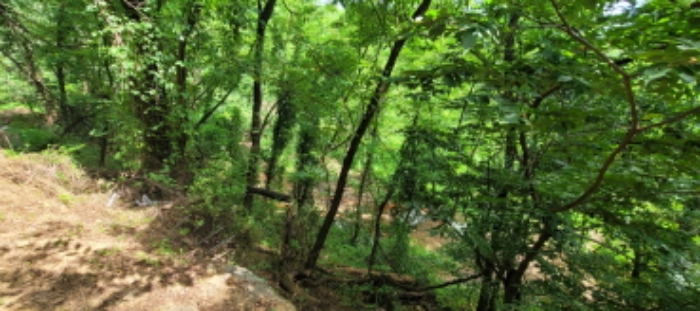 이하 송정동 93, 94 답