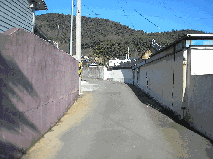 본건 기호(1) 남서측 도로 현황