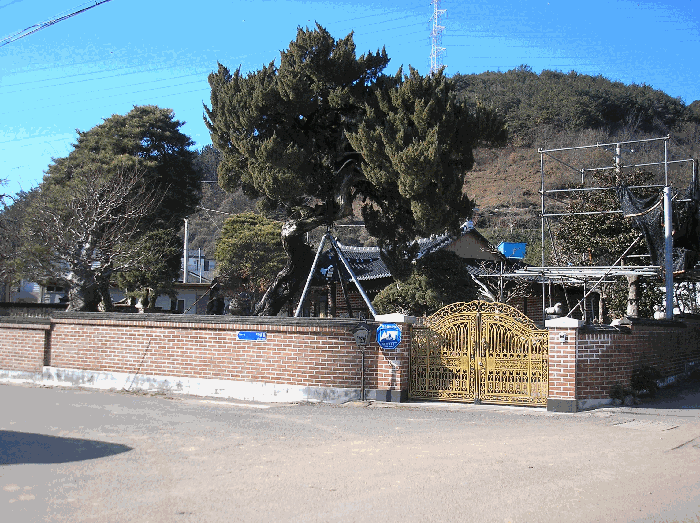 본건 전체 전경