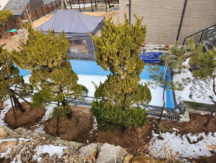 목록1 토지에 설치된 수영장 