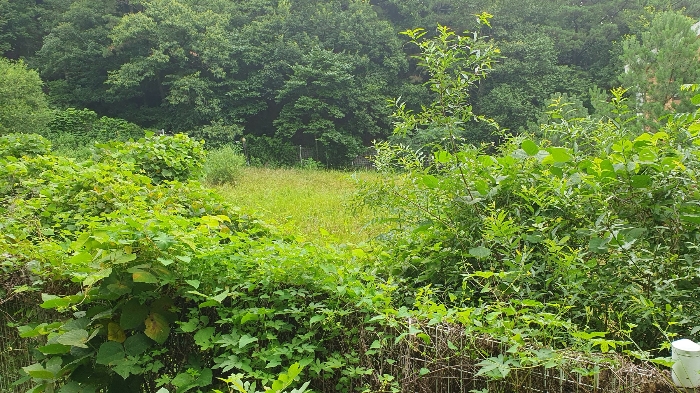 일련번호 4 토지: 남측에서 촬영