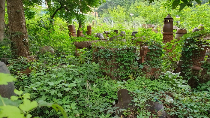 일련번호 2, 3 토지: 남측에서 촬영