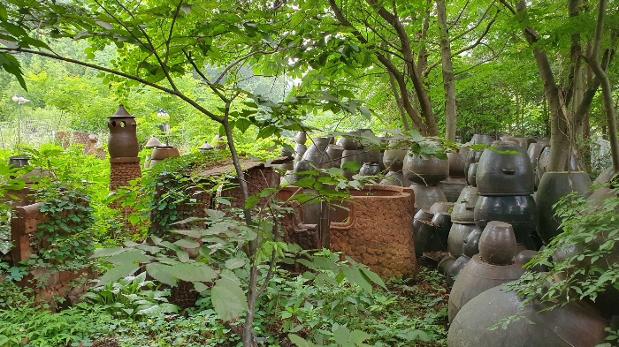 일련번호 2, 3 토지: 남측에서 촬영