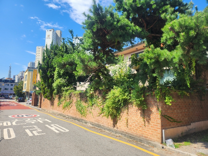 건물 전경 (남측)