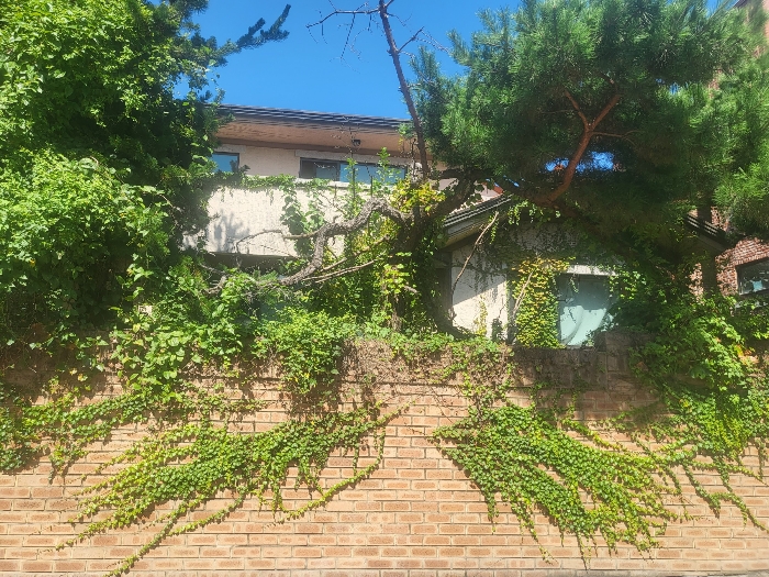 건물 전경 (남측)