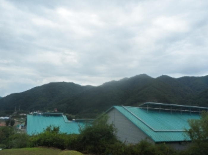 기호 1번 근거리에서 촬영한 것임