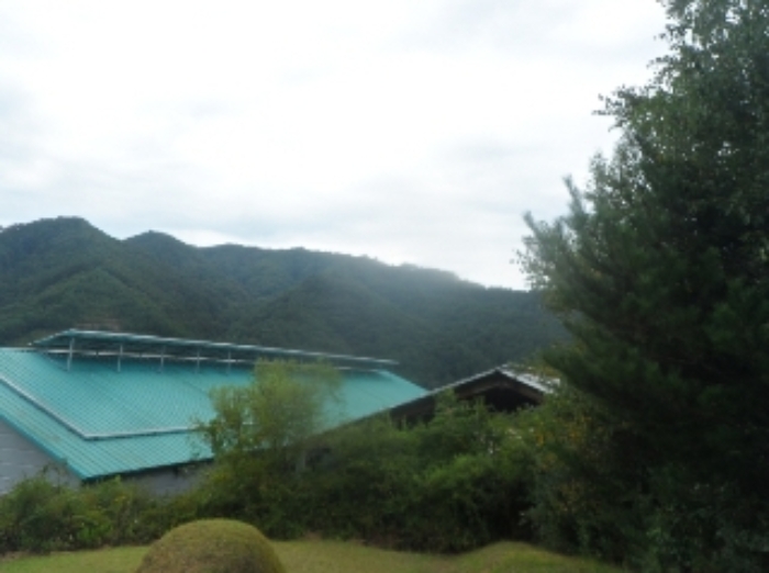 기호 1번 근거리에서 촬영한 것임