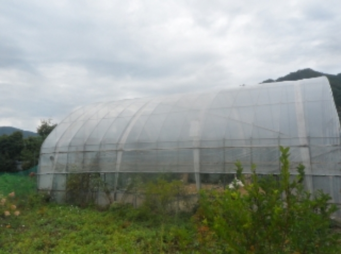 기호 1번 지상에 소재하는 것으로 보이는 제시외 비닐하우스