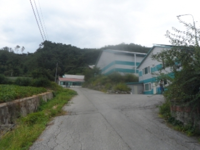 기호 1,2번 근거리에서 촬영한 것임