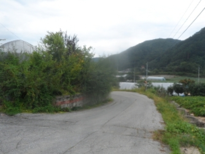 기호 1,2,4번 근거리에서 촬영한 것임