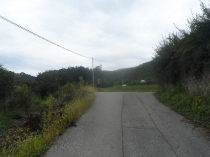 기호 1,2,4번 근거리에서 촬영한 것임