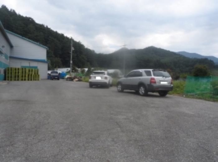 기호 1번 근거리에서 촬영한 것임