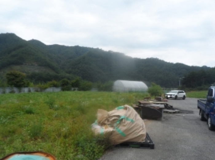 기호 1번 근거리에서 촬영한 것임