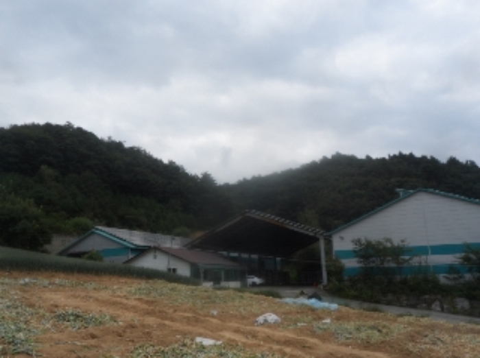 기호 1번 근거리에서 촬영한 것임