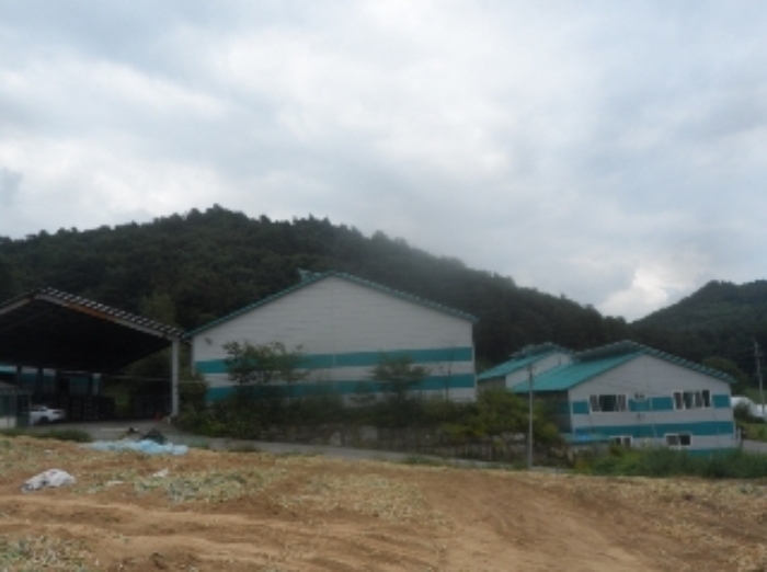 기호 1번 근거리에서 촬영한 것임