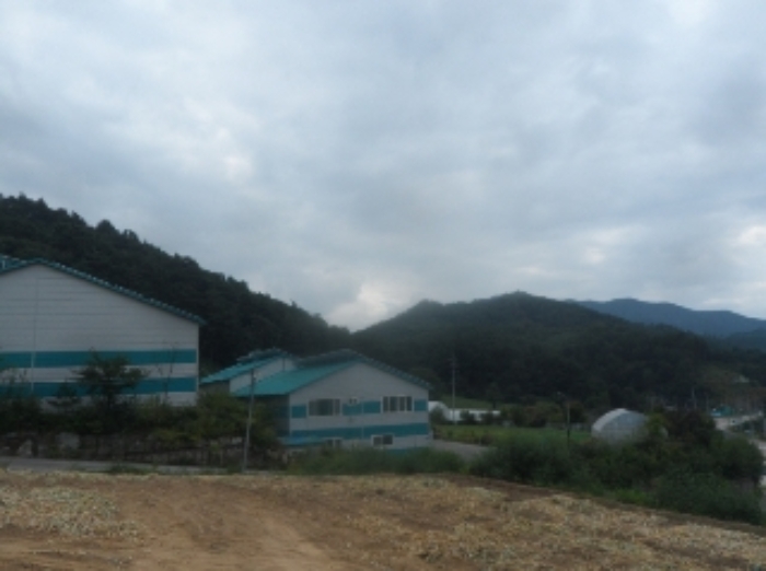 기호 1번 근거리에서 촬영한 것임