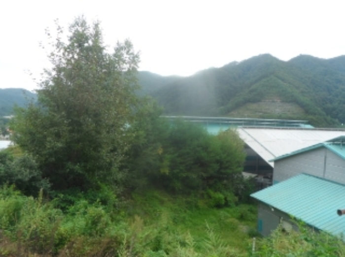 기호 1번 근거리에서 촬영한 것임