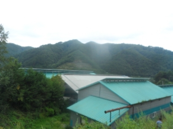 기호 1번 근거리에서 촬영한 것임