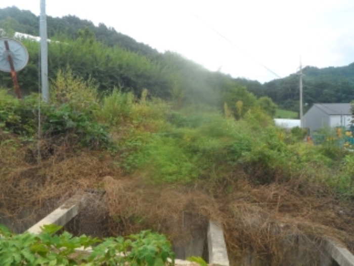 기호 1,4번 근거리에서 촬영한 것임