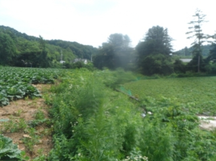 기호 1,2,3,8번 근거리에서 촬영한 것임